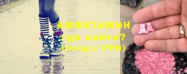 прущие грибы Алзамай