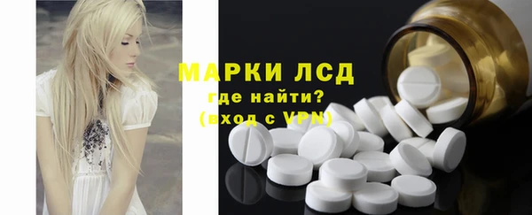 прущие грибы Алзамай