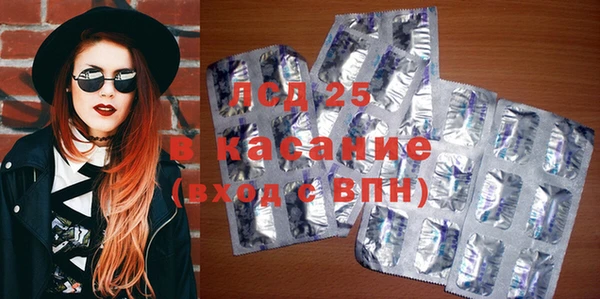 прущие грибы Алзамай