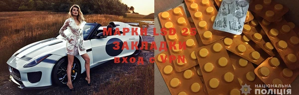 прущие грибы Алзамай