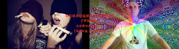 круглые Новодвинск